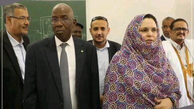 صورة من نشاطات وزيرة التشغيل والتكوين المهني