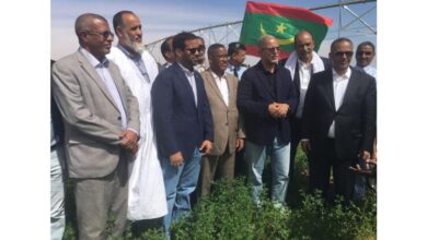 صورة وزير الزراعة: تحقيق الاكتفاء الذاتي من الغذاء خيار لارجعة فيه