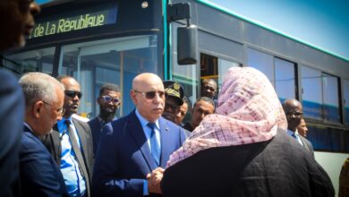 صورة شركة النقل: عززنا أسطولنا بـ50 حافلة وننتظر دفعة من 62 حافلة