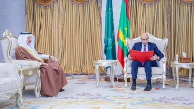 صورة رئيس الجمهورية يتسلم رسالة خطية من ملك البحرين