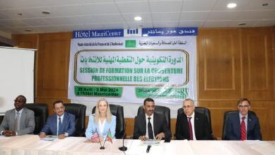 صورة السلطة العليا للصحافة تنظم دورة تكوينية حول التغطيات المهنية للانتخابات