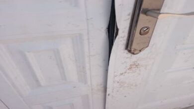 صورة عصابة تثير مخاوف سكان تيارت