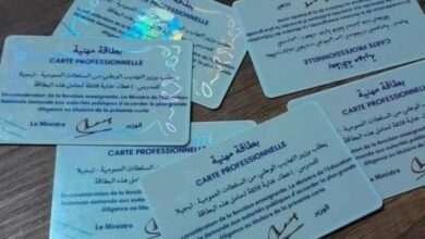 صورة وزارة التهذيب تصدر بطاقات مهنية للمدرسين