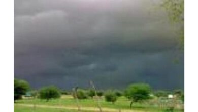 صورة ‏تساقط كميات معتبرة من الامطار على مناطق متفرقة من البلاد