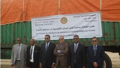 صورة الحكومة تدعم المزارعين بـ645 طنا من البذور