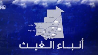 صورة تساقطات مطرية هامة في عدة ولايات من الوطن
