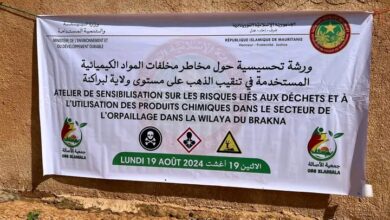 صورة ورشة عمل من أجل التوعية  حول مخاطر النفايات والمواد الكيميائية في قطاع التنقيب الأهلي