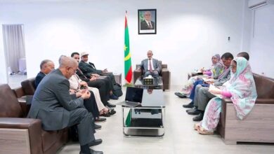 صورة وزير الصحة يلتقي وفدا من مجموعة العمرو للاستشارات الهندسية