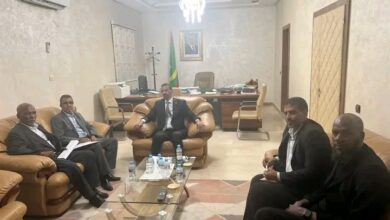 صورة وزير الثقافة  يوجه بتفعيل المفتشية الداخلية للقطاع