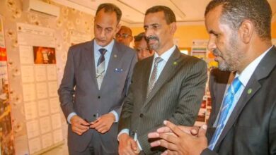 صورة وزير الثقافة: التفاني في أداء الواجب هو المعيار الأوحد للترقية الوظيفية