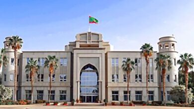 صورة تعيينات الأمناء العامين.. زعماء قبليون وترضيات اجتماعية-