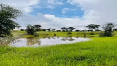 صورة تساقط أمطار هامة على مناطق من البلاد