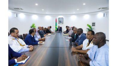 صورة الوزير الأول يترأس اجتماع اللجنة الوزارية المكلفة بالبرنامج النموذجي لتنمية مدينة