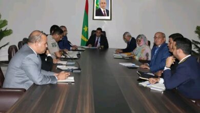 صورة الوزير الأول يترأس اجتماعا للجنة الوزارية المكلفة بمتابعة ظاهرة الهجرة غير الشرعية
