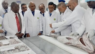 صورة وزير الصيد والبنى التحتية البحريةو المينائية يبدأ زيارة لنواذيبو…