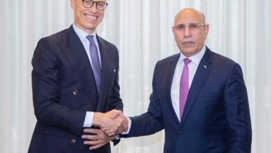صورة رئيس الجمهورية يلتقي برئيس جمهورية فنلندا السيد ألكساندر شتوب.