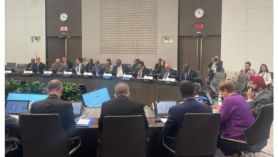 صورة وزير الاقتصاد والمالية ومحافظ البنك المركزي يشاركان في الطاولة المستديرة لمجموعة السبع مع افريقيا