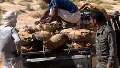صورة توقيف مهربين للسلاحف البرية بضواحي مدينة ولاتة