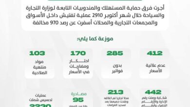 صورة حصيلة فرق مندوبية حماية المستهلك خلال شهر اكتوبر
