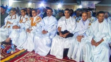 صورة بحضور وزير الثقافة افتتاح النسخة الثانية من مهرجان التراث الثقافي بمقاطعة الشامي