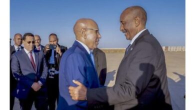 صورة رئيس الجمهورية يستقبل رئيس مجلس السيادة السوداني عبد الفتاح البرهان