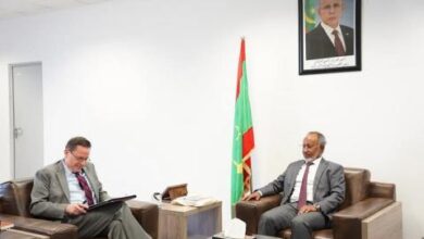 صورة وزير الصحة يستقبل وفدًا أمريكيًا للتعاون الصحي