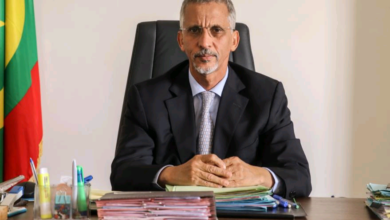 صورة تعيينات جديدة في مفوضية حقوق الإنسان والعمل الإنساني