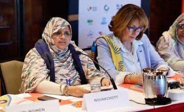 صورة نيويورك: رئيسة جهة نواكشوط تشرف على انطلاق ندوة “أيام المدن والحكومات المحلية” ضمن فعاليات الدورة 69 للجنة الأمم المتحدة لشؤون المرأة*