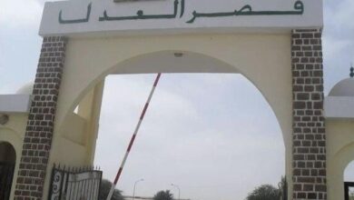 صورة “ملف العشرية”.. محكمة الاستئناف تستعد لدخول مرحلة الردود بين المحامين