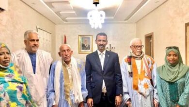 صورة وزير الثقافة يستقبل وفدا من شبكة المتاحف الموريتانية
