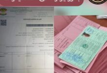 صورة الشرطة تعلن توقيف شبكة لتزوير وثائق السيارات