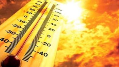 صورة رياح قوية وأتربة تحدّ من الرؤية على مناطق واسعة من البلاد