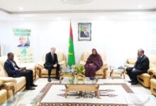 صورة فاطمة بنت خطري تبحث مع السفير الألماني سبل تعزيز التعاون في مجال الأمن الغذائي