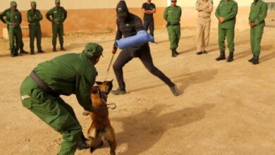 صورة قائد أركان الدرك الوطني يتفقد جاهزية وحدة مجموعة المناورة والاحتياط