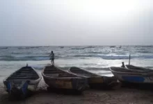 صورة موريتانيا: ارتفاع عدد المهاجرين المستفيدين من برنامج “العودة الطوعية”