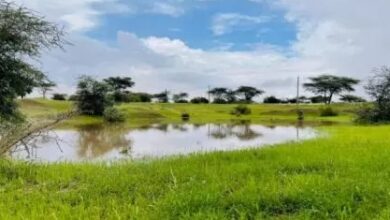 صورة توقعات لأمطار في أقصى الجنوب وارتفاع للحرارة في مدن مختلفة