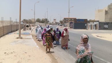 صورة احتجاجات نسائية في نواذيبو للمطالبة بقطع أرضية