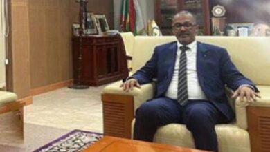 صورة رئيس اتحاد أرباب العمل يشارك في المعرض الرابع الصيني-الإفريقي