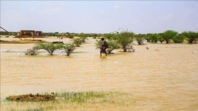 صورة تساقط كميات من الأمطار في مناطق من الحوض الشرقي