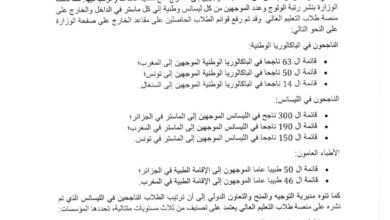 صورة وزارة التعليم العالي تُفصح عن معايير اختيار الممنوحين من مرحلة الليسانص