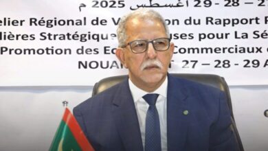 صورة موريتانيا تسعى للاكتفاء الذاتي في الأرز وتعزيز الزراعة المطرية