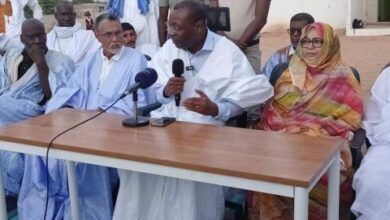 صورة كرمسين : رئيس حزب الإنصاف يترأس مهرجانا شعبيا حاشدا تمهيدا لزيارة الرئيس