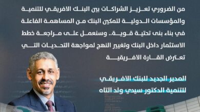 صورة ولد التاه: من الضروري أن نعزز شراكاتنا مع المؤسسات الدولية