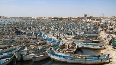 صورة الإعلان عن تاريخ التوقيف البيولوجي للصيد البحري
