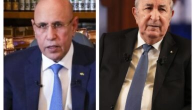 صورة غزواني يؤكد لتبون حرصه على تطوير علاقات البلدين