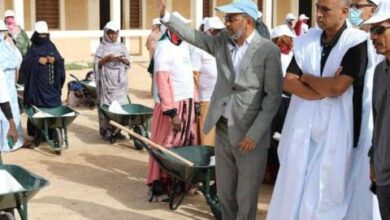 صورة المندوب العام لـ”التآزر” يطلق حملة وطنية لتنظيف المدارس استعدادًا للعام الدراسي