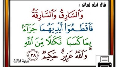 صورة اللص العادي واللص السياسي: حين تُسرق المحفظة… وحين تُسرق الأوطان / نوح محمد محمود