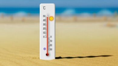 صورة الأرصاد الجوية: أجواء مغبرة وارتفاع للحرارة في عدة ولايات خلال اليومين المقبلين