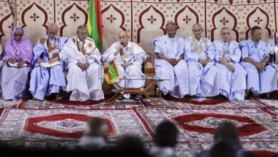 صورة غزواني: ليس مقبولا استفادة الأجانب من فرص العمل رغم البطالة بالبلد