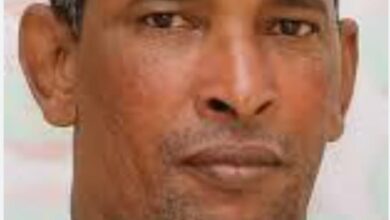 صورة تحديث غير مسبوق للجيش..  جاهزية عززت روح الوطنية والانضباط والحماس / نوح محمد محمود.